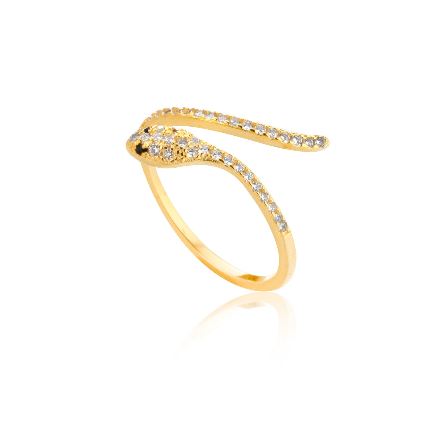 Anello ophidia