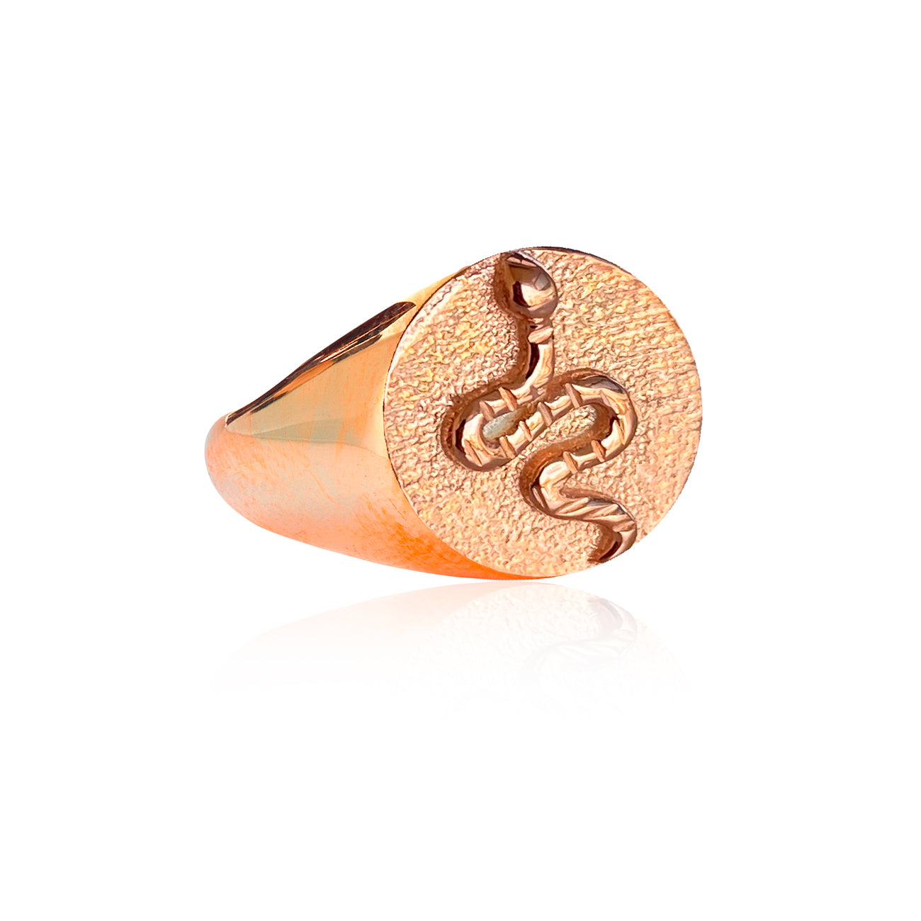 Chevalier snake