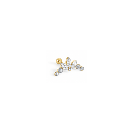 Crown Piercing