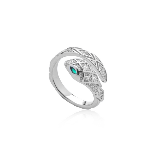 Anello Snake